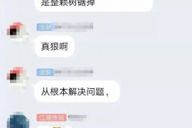 临清企业清欠服务